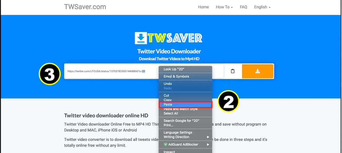 Paste tweet URL into TWSaver