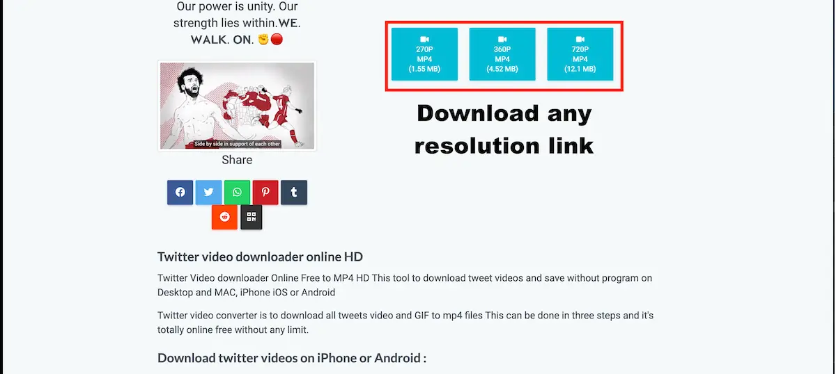 Choose quality and download